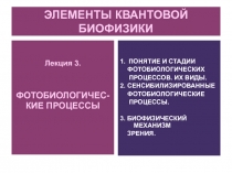 ЭЛЕМЕНТЫ КВАНТОВОЙ БИОФИЗИКИ