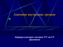 Анатомия внутренних органов