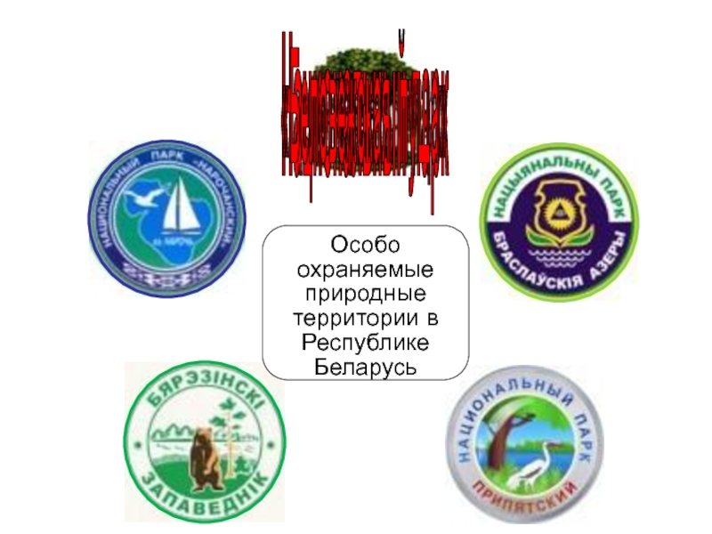 Особо охраняемые территории республики беларусь презентация