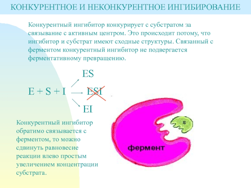 Конкурентное ингибирование ферментов. Конкурентные и неконкурентные ингибиторы. Конкурентное ингибирование. Конкурентное ингибирование примеры.