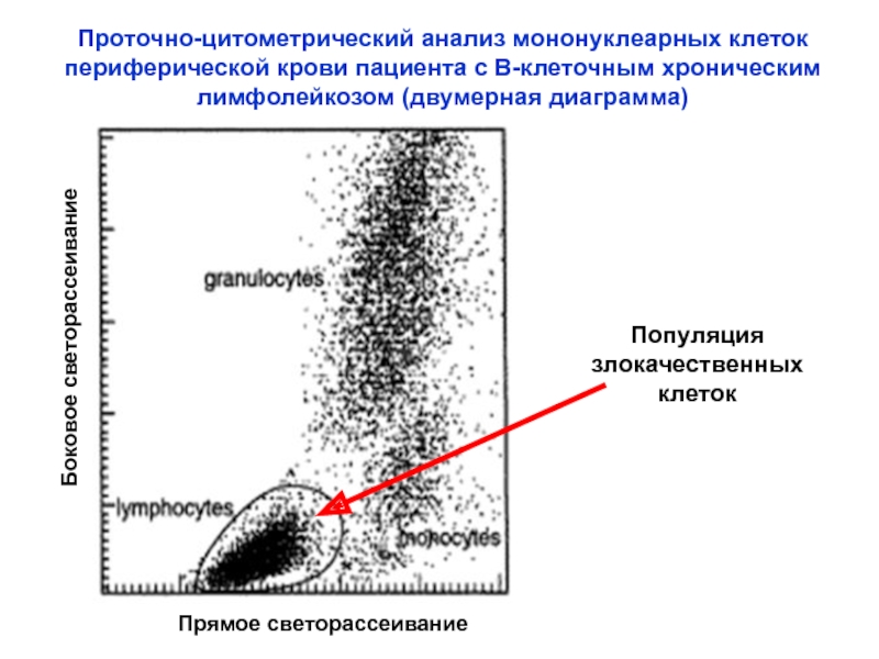 Анализ клеток