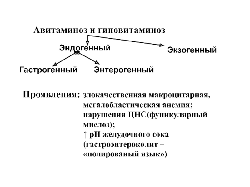 Фуникулярный миелоз. Первичный и вторичный гиповитаминоз. Симптомы фуникулярного миелоза. Авитаминоз и гиповитаминоз.