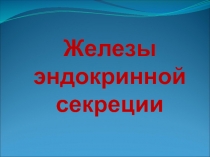 Железы эндокринной секреции