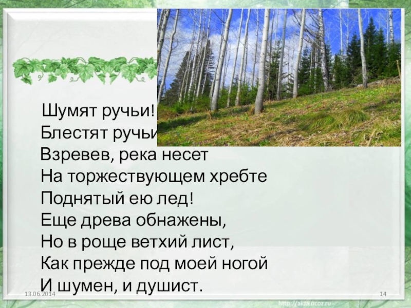 Стихотворение шуми шуми. Шумят ручьи блестят ручьи. Баратынский шумят ручьи. Еще древа обнажены, но в роще Ветхий лист. Стихотворение шумят ручьи блестят ручьи.