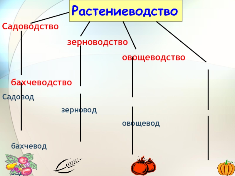 На какие отрасли делится растениеводство заполни схему