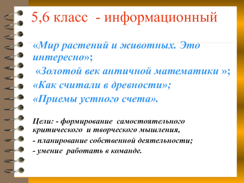 Презентация 5,6 класс - информационный