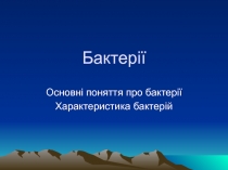 Бактерії