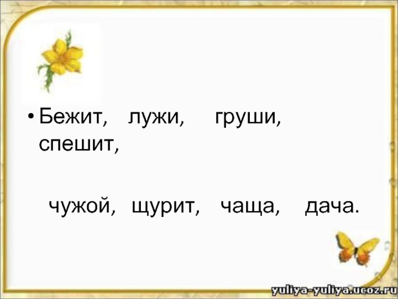 Текст песни жи ши. Бегу ча ща. Как пишется слово луж. В лесу стоит мертвая жи ши.