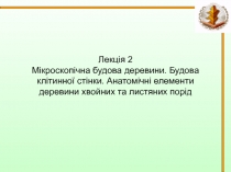 Мікроскопічна будова деревини. Будова клітинної стінки. Анатомічні елементи деревини хвойних та листяних порід