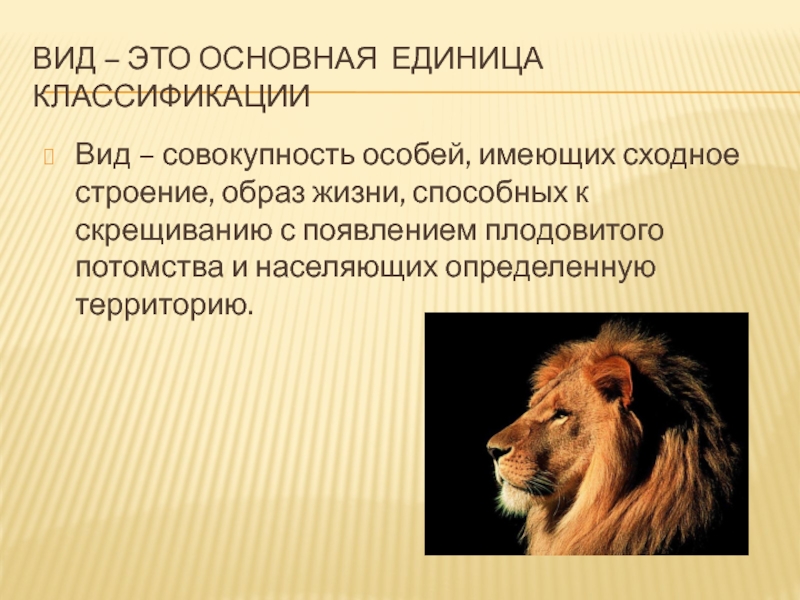 Строение образ жизни. Вид. DBL. Вид это совокупность особей. Вид это основная единица.