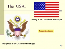 The flag of the USA - Stars and Stripes