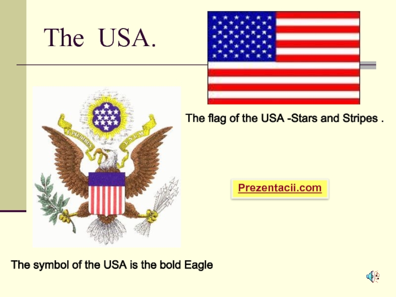Презентация The flag of the USA - Stars and Stripes