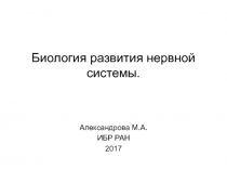 Биология развития нервной системы