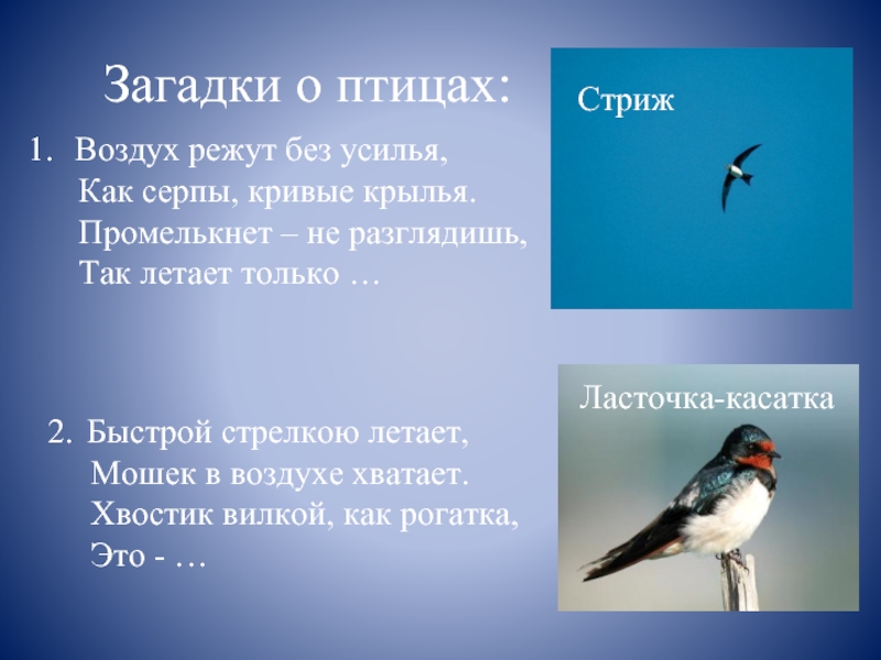 Загадки о птицах: Воздух режут без усилья,   Как серпы, кривые крылья.   Промелькнет –