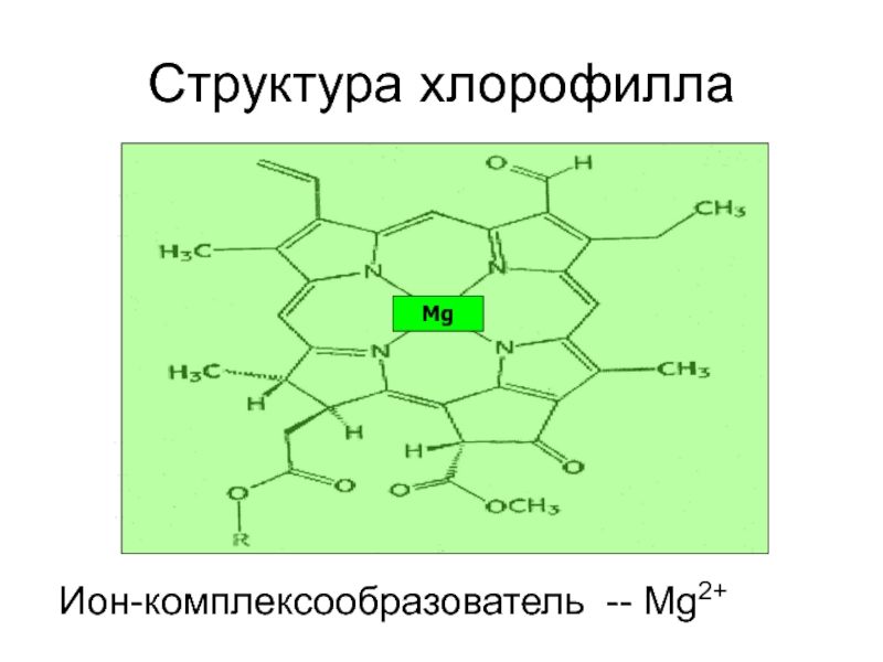 Отсутствие хлорофилла. Хлорофилл комплексообразователь. Хлорофилл а и б формулы. Строение гема и хлорофилла. Структура хлорофилла и гемоглобина.