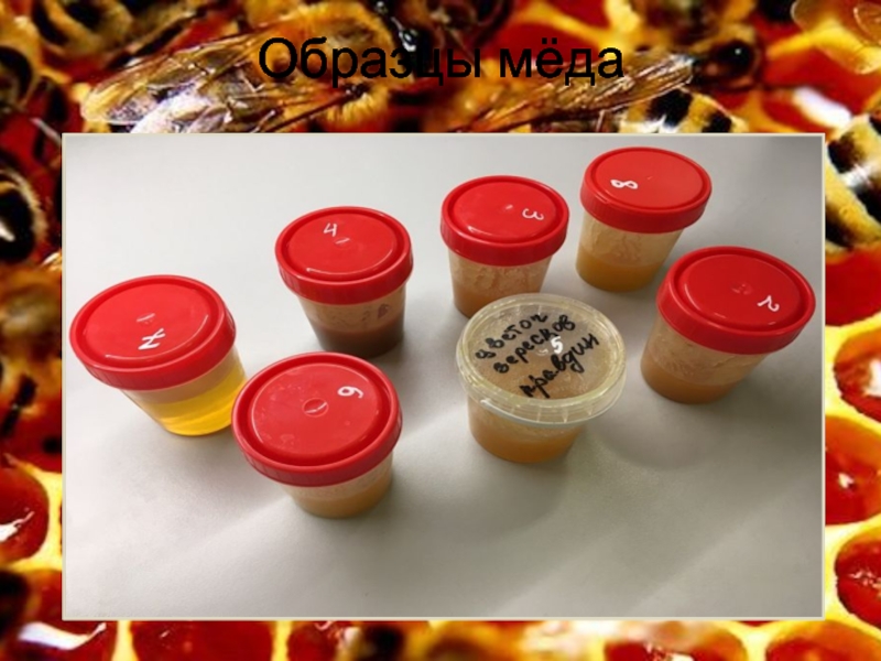 ТЕСТИРОВАНИЕ ЭКСПРЕСС-МЕТОДОВ ОПРЕДЕЛЕНИЯ ФАЛЬСИФИКАЦИИ МЕДА Образцы мёда Образцы мёда