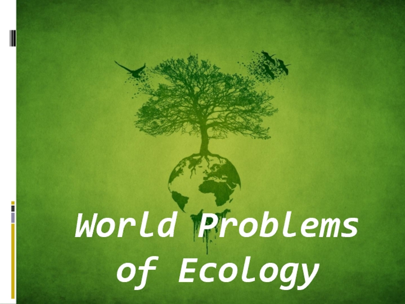 Презентация World Problems of Ecology
