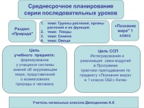 Презентация ССП