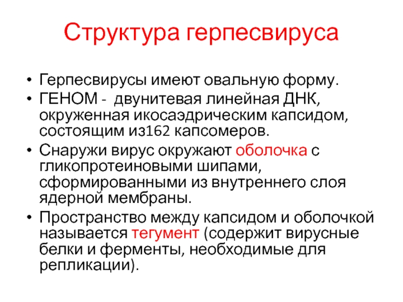 Форма гена. Двунитевая линейная ДНК. Капсомеры герпесвирусов. Геноформ.