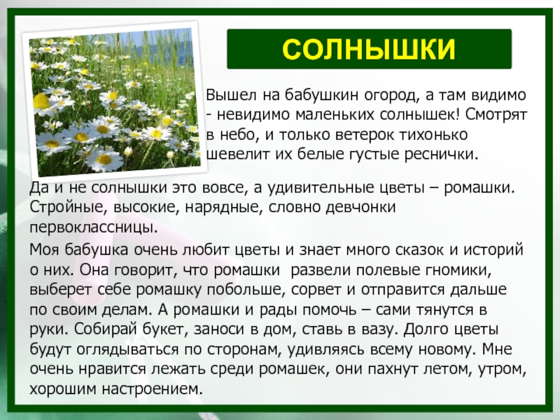 Видимо невидимо. Текст Бабушкин огород. Видимо невидимо сказка. Что означает видимо невидимо. Видимо-невидимо Челябинск.