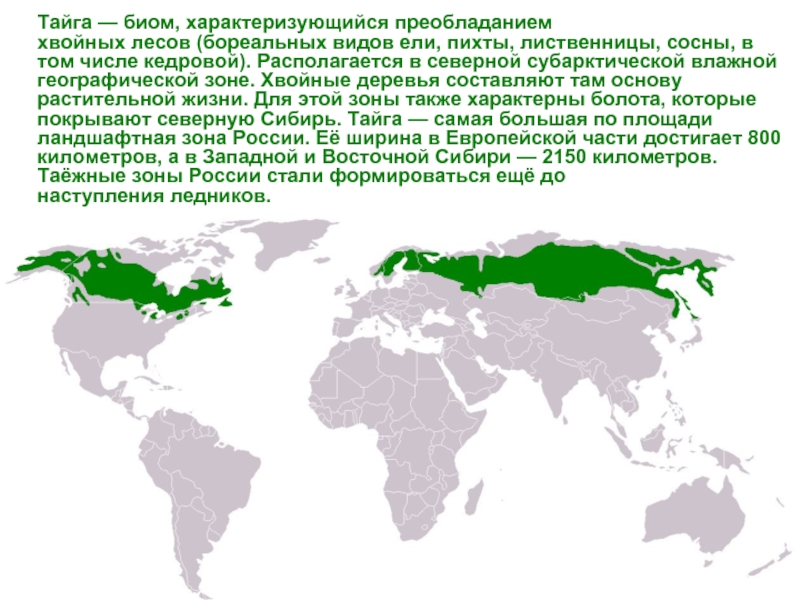 Бореальные леса северной америки карта