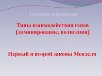 Типы взаимодействия генов (доминирование, полигения)  Основы менделевской генетики