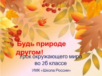 Урок окружающего мира во 2б классе УМК Школа России