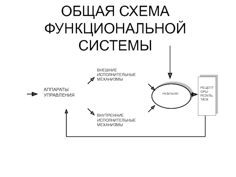 Схема фус восприятия боли