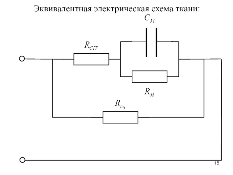 Эквивалентная электрическая схема тканей организма включает сопротивления