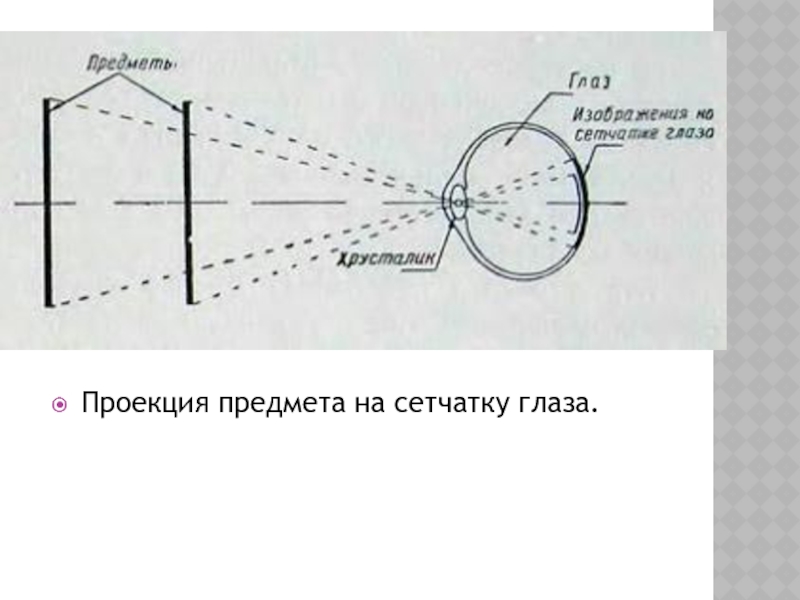 Изображение предметов на сетчатке глаза человека является 1 мнимым уменьшенным 2