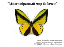 Презентация занятия по ИЗО 