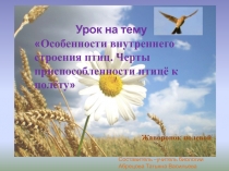 Особенности внутреннего строения птиц. Черты приспособленности птиц к полету 7 класс