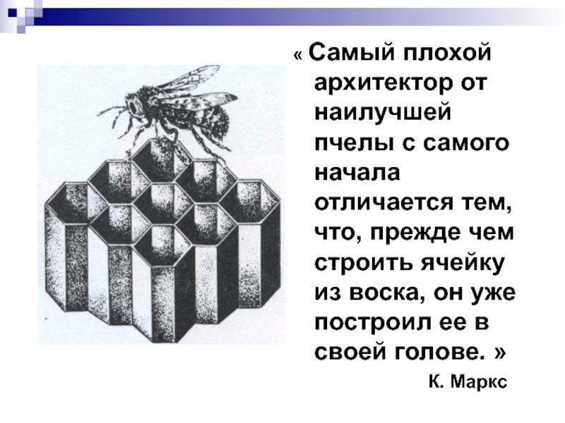 Самое маленькое значение. Самый плохой Архитектор от наилучшей пчелы с самого начала. Чем самый худший Архитектор отличается от пчелы. Самый худший Архитектор. Стихи о плохой архитектуре.