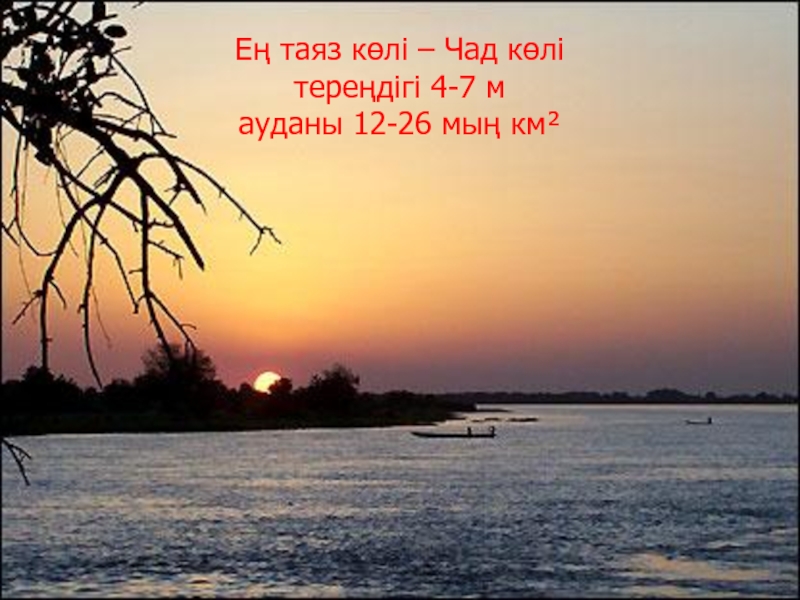 Чад Көлі. На таинственном озере Чад посреди вековых. Тунг. Чад.