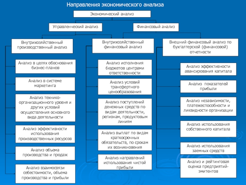 Уровни анализа экономической науки. Управленческий экономический анализ это. Основные направления экономического анализа. Элементы экономического анализа. Уровни экономического анализа план.
