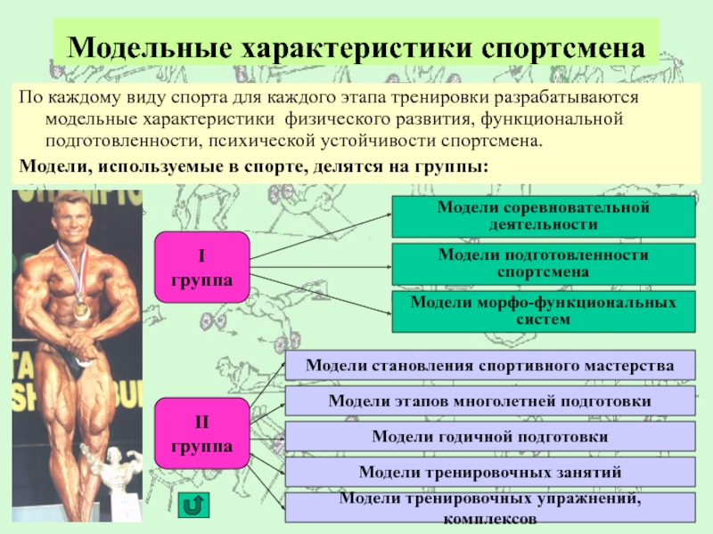 Особенности занятий избранным видом спорта или системой физических упражнений презентация