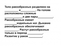 Тело ракообразных разделено на _________ и__________. На голове расположены
