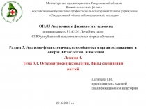 Министерство здравоохранения Свердловской области Нижнетагильский филиал