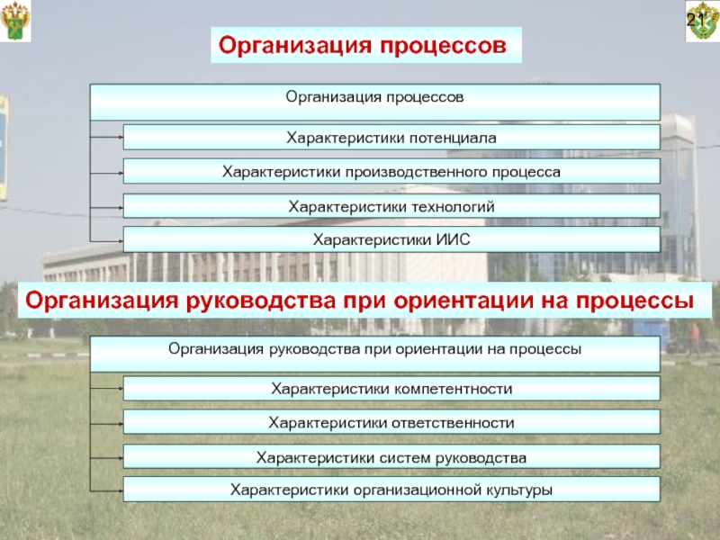 Организация 21. Процессно организационное управление в правоохранительных органах. Организация процесса управления в правоохранительных органах.. 23. Организация процедур. Зоны ответственности и обязанности процессного лидера.