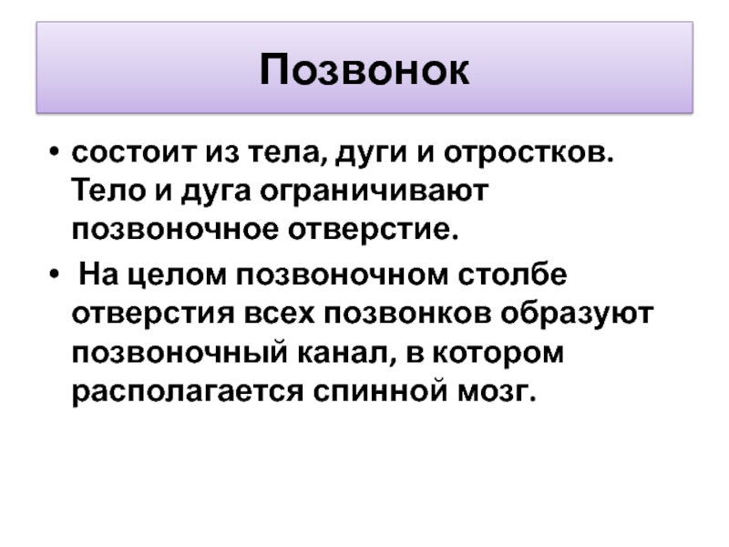 Каждый позвоночник состоит из тела и дуги. Позвонки состоят из тела дуги и. Что ограничивает дуга и тело. Дуг и недуг.