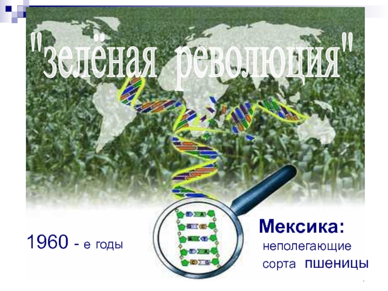 География 10 презентация география сельского хозяйства и рыболовства 10 класс