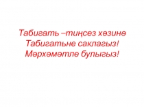 Табигать - тиңсез хәзинә. Табигатьне саклагыз! Мәрхәмәтле булыгыз! 4 класс