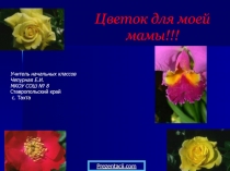 Цветок для мамы