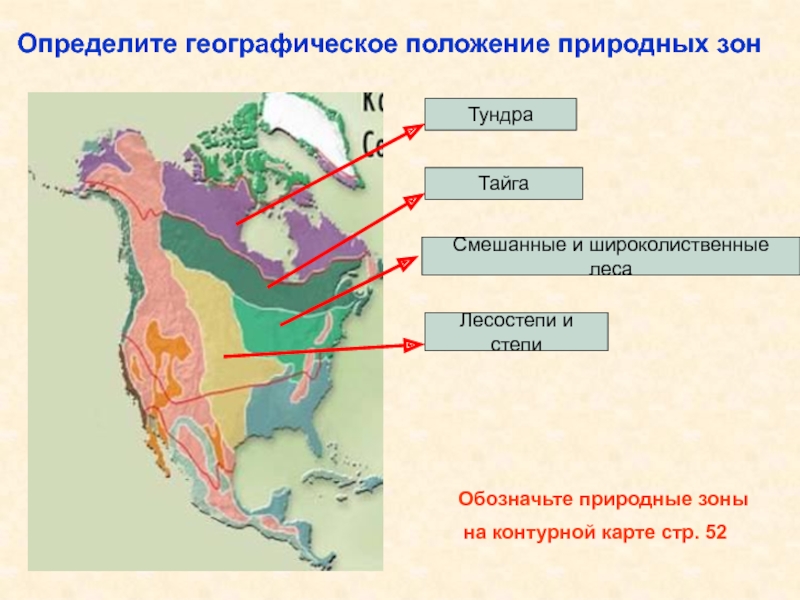 Особенности природы северной америки 7 класс презентация