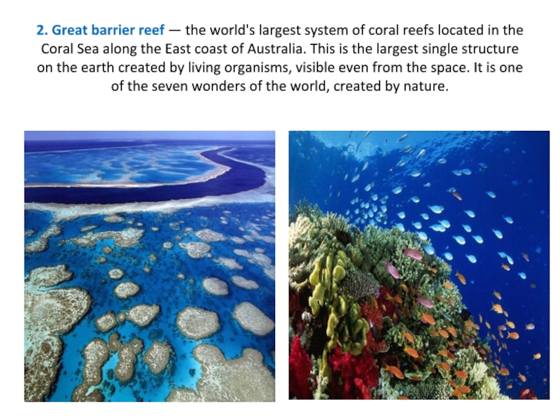2. Great barrier reef — the world's largest system of coral reefs located in
