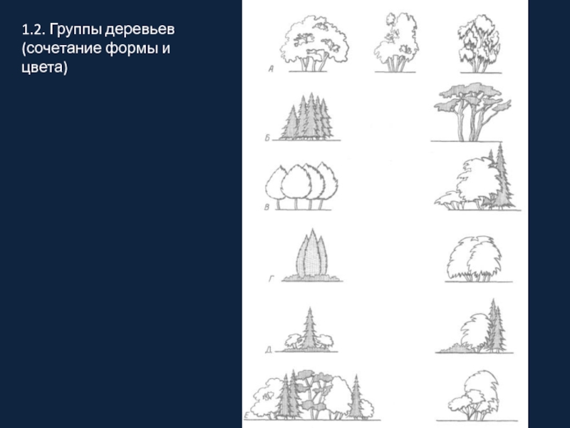 5 группа деревьев. Эскизы ландшафтного дизайна карандашом. Дом дерево сочетание карт.