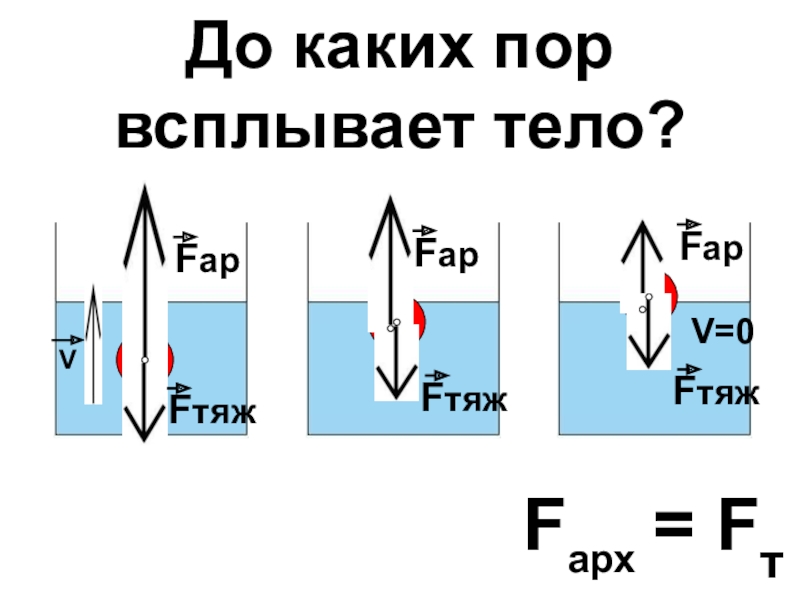 При каких условиях тело всплывает