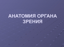 Анатомия и физиология органа зрения