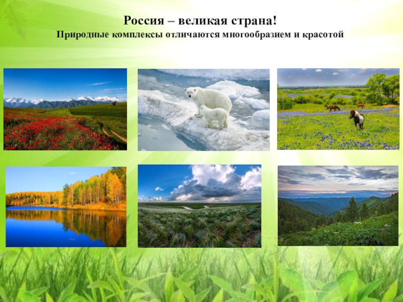 Чем меньше природный комплекс тем он. Природные комплексы. Разнообразие природных комплексов России. Природно-территориальные комплексы России. Региональные природные комплексы.
