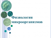 Физиология микроорганизмов